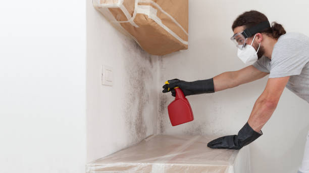 Professional Mold Inspection And Testing technician working in Needham, MA